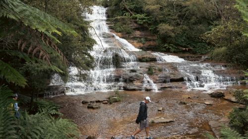 Sydney 1-day tour: Blue Mountains + Zoo + Darling Harbour Cruise (English-speaking quality tour with koala photo opportunity) Day Tours