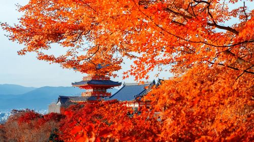 Kyoto & Nara Classic Day Tour with Friendly Deer