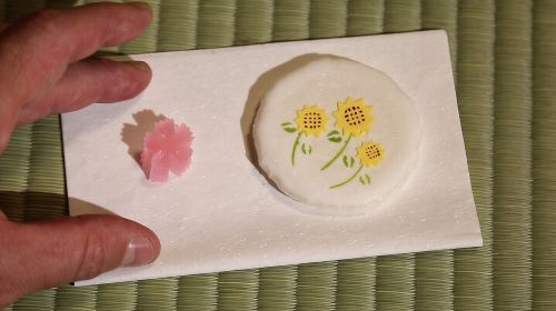 Tea Ceremony Workshop in Tokyo by the Official Instructor