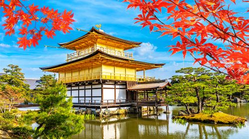 Kyoto Ancient Capital Cultural Tour – A Day Trip to Kyoto's Ancient Temples and Fushimi Inari Shrine