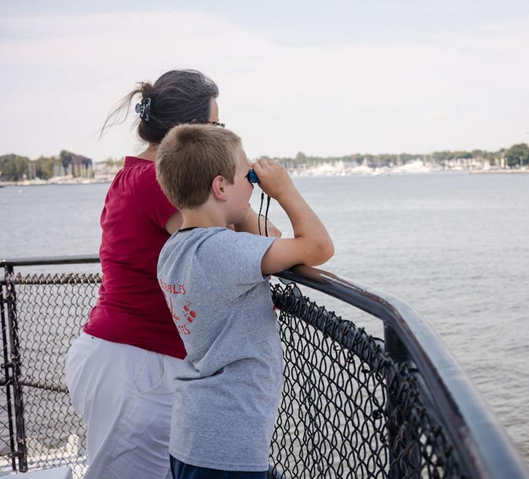 Annapolis: Annapolis Harbor and U.S. Naval Academy Cruise