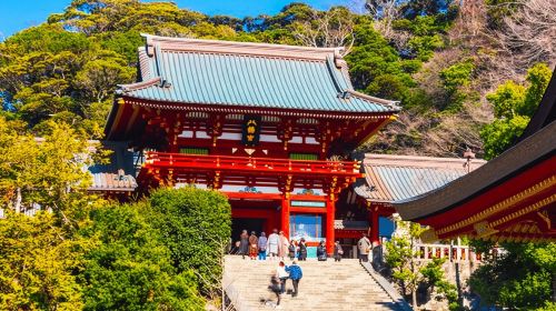 Tokyo Yokohama Night View Tour With Kamakura And Enoshima Day Tours