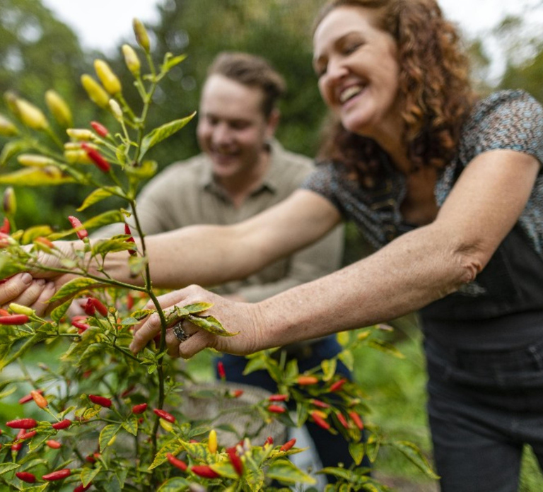 Central Coast NSW: The Winemakers Secret Garden Tour