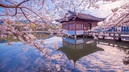 Enduring Memories of Hangzhou Show