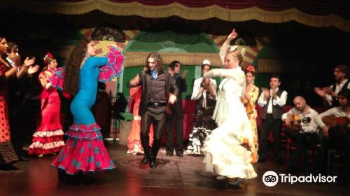 Tablao Flamenco El Palacio Andaluz