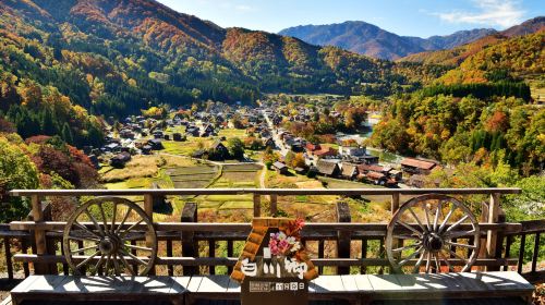 Nagoya Shirakawa-go Gassho Village + Hida Takayama Day Tour|Two daily departures