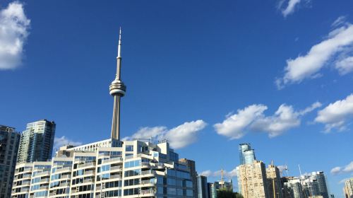 Toronto Casa Loma + Art Gallery of Ontario + CN Tower Day Tour Day Tours