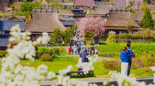 1-Day Tour to Amanohashidate & Ine Boat Houses in Kyoto with Bilingual Guide
