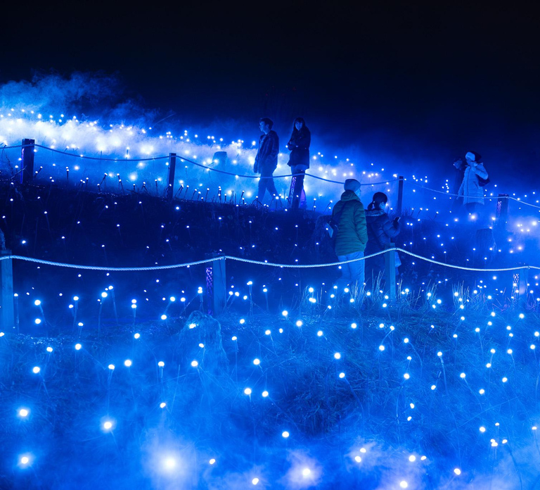 Astra Lumina Entry at Currumbin Wildlife Sanctuary