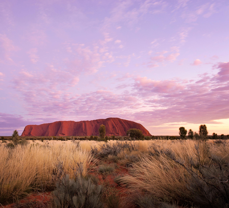 Uluru: Guided Walking Tour at Sunrise with Light Breakfast