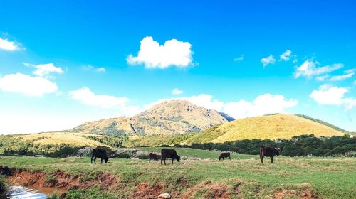 Taipei: Yangmingshan & Beitou Full-Day Tour