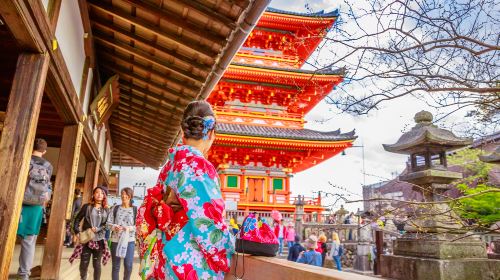 Kyoto Kiyomizu-dera Temple + Ninenzaka & Sannenzaka + Kinkaku-ji + Fushimi Inari Taisha, Kyoto millennium day tour