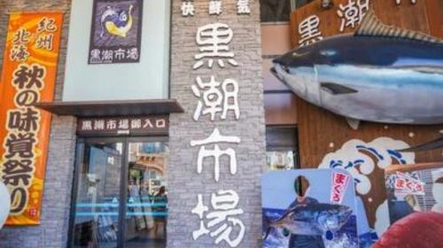 From Osaka | Wakayama Castle X Kuroshio Market X Tōdai-ji X Nara Park