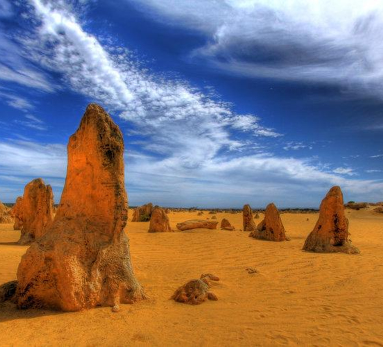 Pinnacles, Koalas & Sandboarding Tour Day Trip from Perth