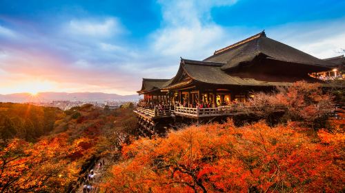 Kyoto and Nara Day Tour – Kiyomizu-dera Temple, Fushimi Inari-taisha Shrine