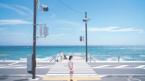 Small group tour for 9 people - Tokyo Kamakura and Enoshima 1-day tour - Slam Dunk pilgrimage - round-trip from Tokyo Day Tours