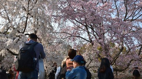 Osaka Castle: Guided Walking Tour Day Tours