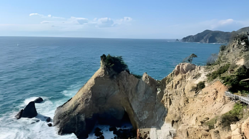 Private chartered tour in Tokyo and West Izu to Shuzenji + Toi Gold Mine + Koganezaki + Tensodo Cave. Customizable itinerary. Day Tours