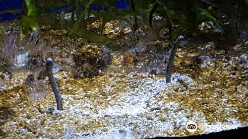 Aquarium d'Amneville