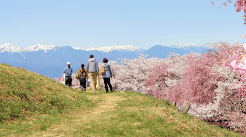 Private chartered 1-day tour in Nagoya/Tokyo to Kamikochi + Taisho Ike Pond + Azusa River + Kappa Bridge + Myojin Pond