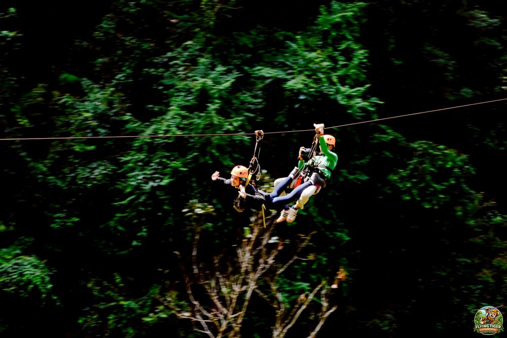Flying Tiger Zipline Chiang Mai