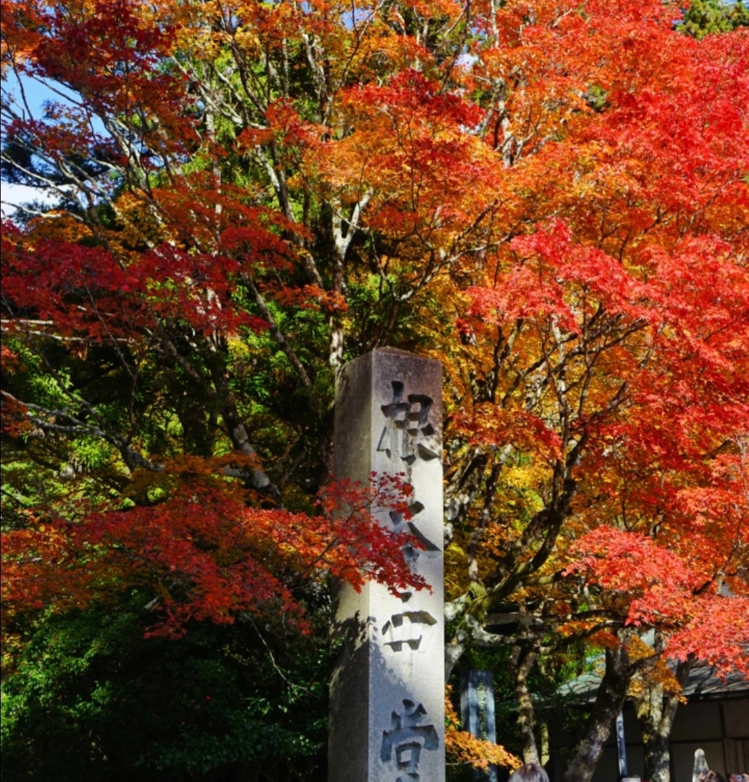 Four Seasons Biwa Lake & La Collina Omihachiman & Nara 1-Day Tour