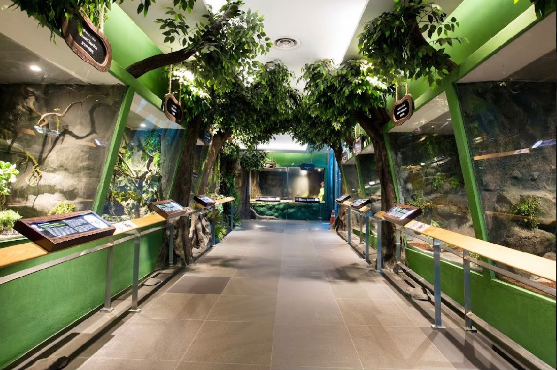 Siam Serpentarium Snake Museum