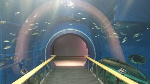 Lake Biwa Museum
