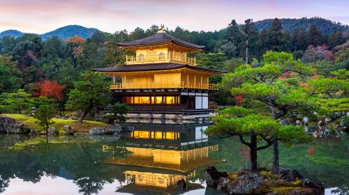 Kyoto in a Day: The Ultimate Top 4 Highlights Tour (From Osaka/Kyoto) Day Tours