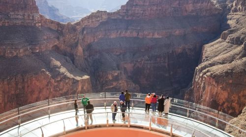 Grand Canyon West + Joshua Tree Photostop + Hoover Dam Overlook + Hemenway Park Bus Tour