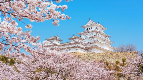 Japan's top three night views - wake up naturally - Kobe Mount Maya Kosei Observatory & Himeji Castle day tour Day Tours