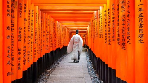 Kyoto and Nara day tour - Arashiyama, Nara Park, Fushimi Inari's thousand torii gates and Sagano scenic train Day Tours