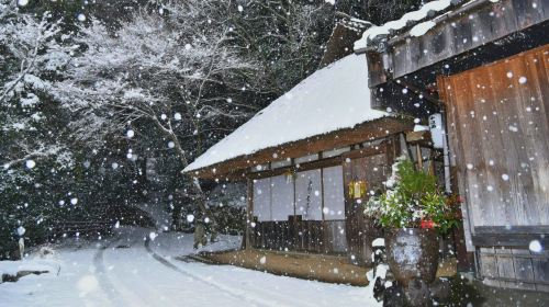 1-day tour from Osaka to world heritage Kumano-Kodo Nakahechi pilgrimage route