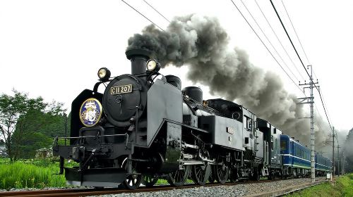 [Redeem required] Nikko Pass (redeem ticket at Tobu Asakusa Tourist Information Center) Transport Passes