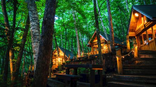 Hokkaido Forest Elf Terrace Illumination Day Tour: 12-Person Small Group