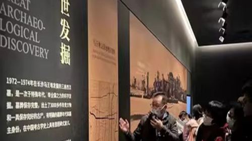 Hunan Museum + Orange Isle + Yuelu Academy + Autumn-Admiring Pavilion Changsha Pure Play Small Group 1-day Tour