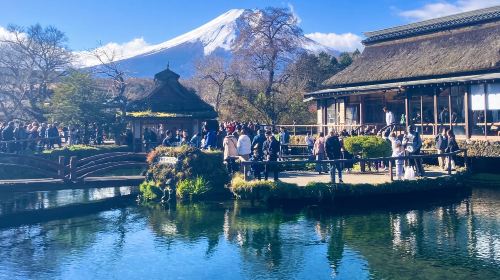 1-day tour to Mount Fuji, Oshino hakkai, 5th station and Gotemba Premium Outlets from Tokyo
