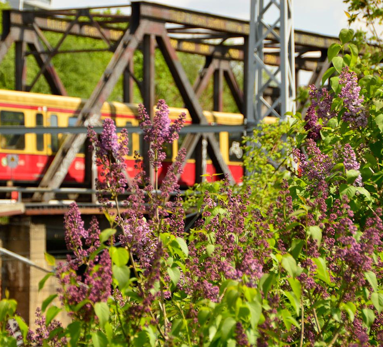 EasyCityPass Berlin: Zone AB Public Transport and Discounts
