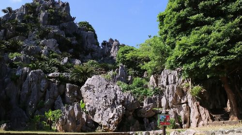 Okinawa Hip-Hop Bus C Course Tour to Northern Island Day Tours
