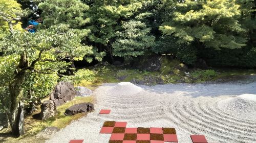 Kyoto: Gion Highlights & Hidden Treasures Guided Tour Day Tours