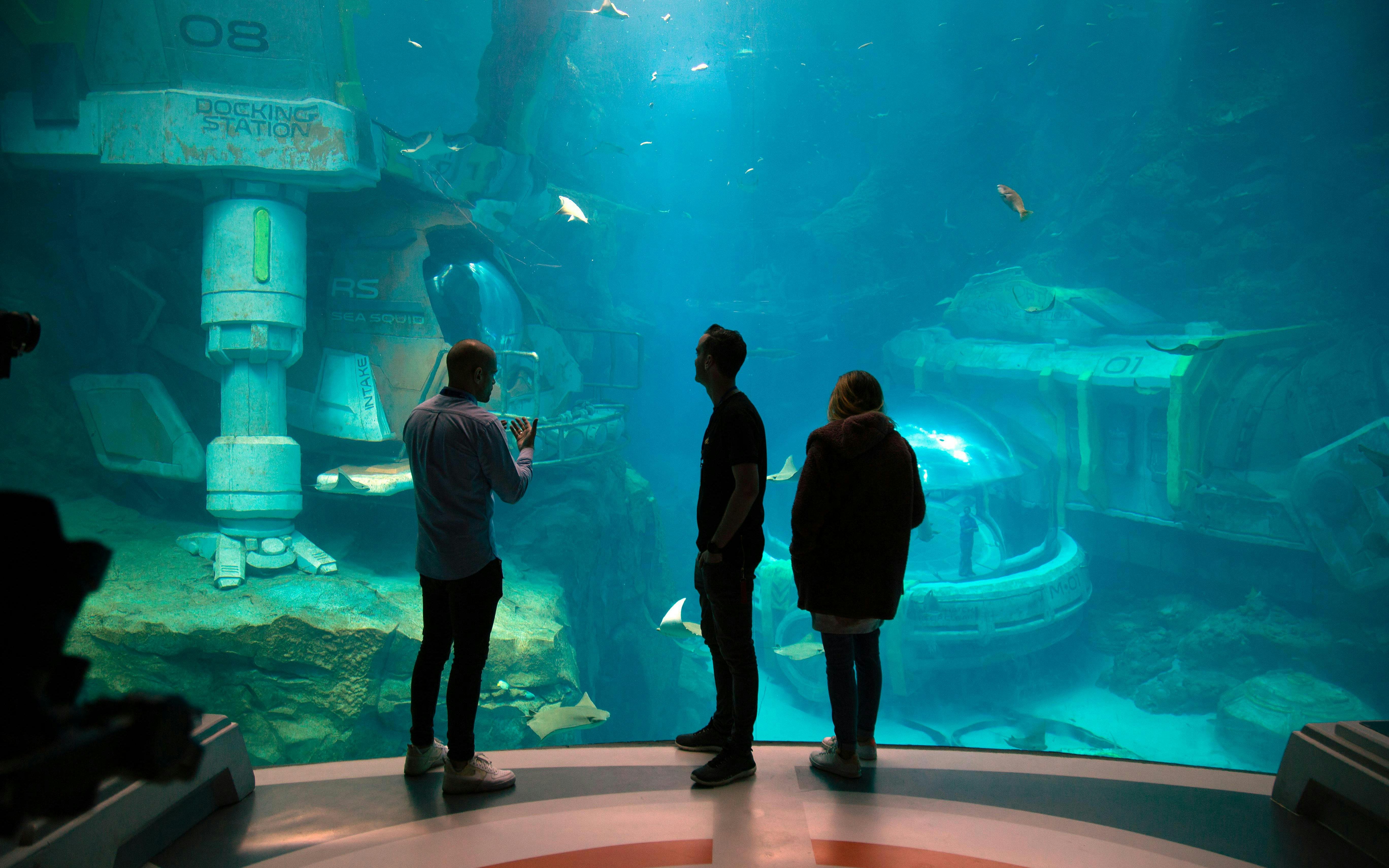 SeaWorld Abu Dhabi Tickets