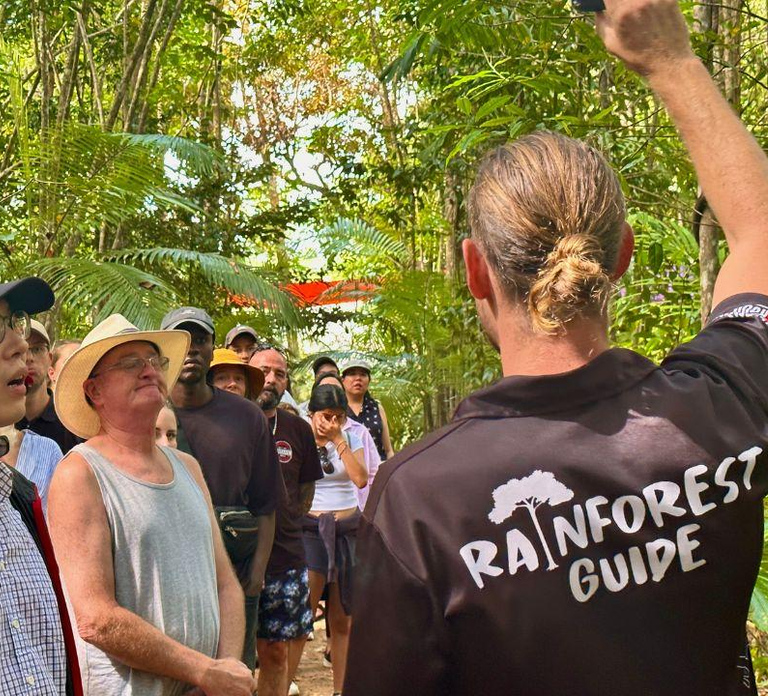 From Port Douglas: Daintree Rainforest & Mossman Gorge Tour