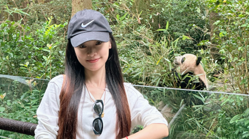 Panda Valley