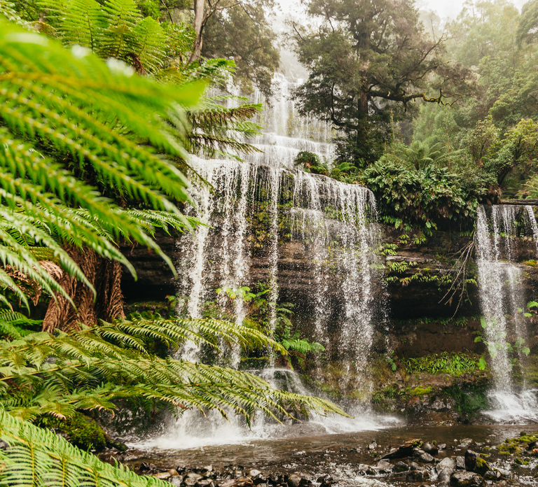 Hobart: Mt Wellington, Mt Field, Bonorong and Richmond Trip