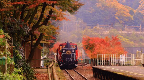 Kyoto Arashiyama Sagano Romantic Train Car No. 5 booking service