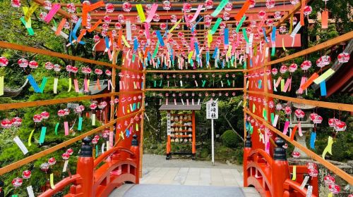 Saga Yutoku Inari Shrine + Mifuneyama Rakuen Azalea Viewing + Tosu Outlet 1-day Tour with Sake Brewery Exploration Day Tours