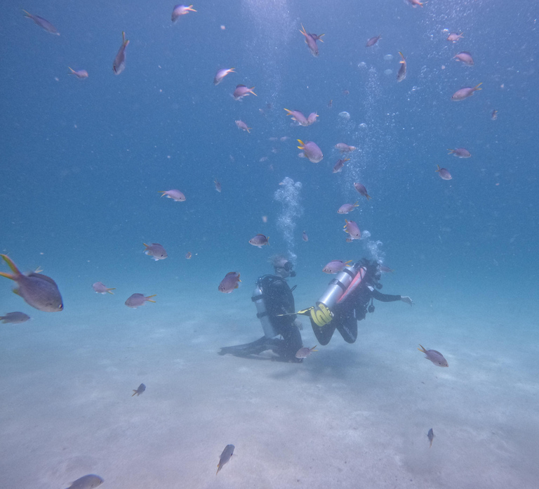 From Dubai: Try Scuba Diving, Snorkeling with Transfer
