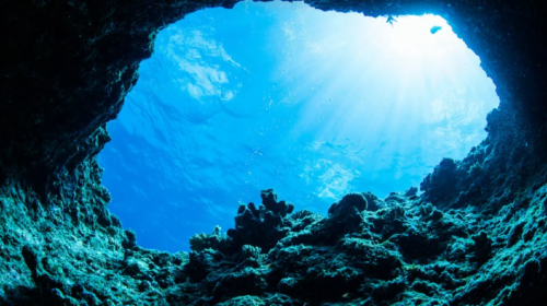 Snorkeling and scuba diving experience at the blue cave in Okinawa, Japan