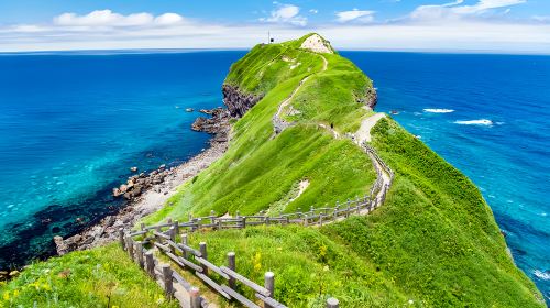 Summer limited in Hokkaido – Cape Kamui, Shimamuiko coast