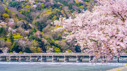 Kyoto Heritage Tour: Arashiyama, Fushimi Inari & Nara Park with Lunch Day Tours